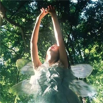 后宅蔷薇花开久